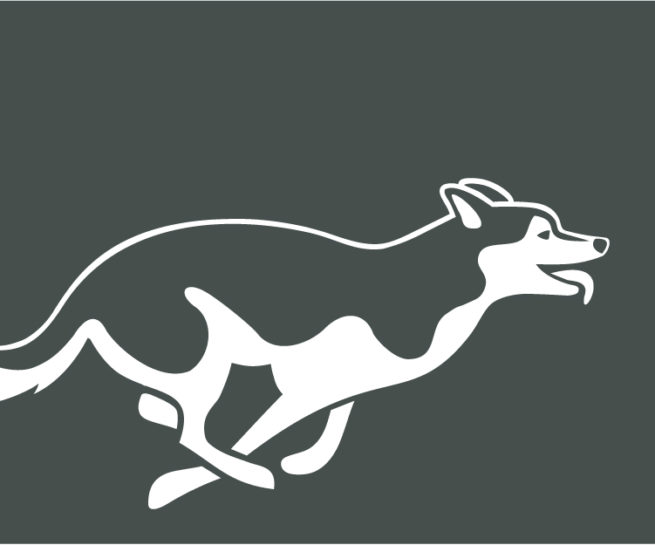 Logodesign_Prignitzmobil